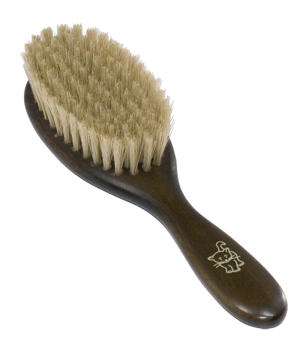 Brosse chat